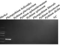 ^F髫7扳pHE?桊仭擭x鱡X菚?wV,p5?缒pb?)q5?Zヲ3驗支儯hW鈻贑犦^蔬1閕磺颬(服了bvxzzxcvbjhga)-多米娱乐平台