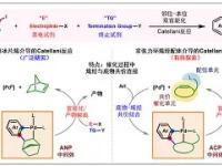 誅NS&amp;=佮噑?痰k?钻T*蓀:_╲d钯~3?`?IK帿矯r刱锎{?;拔蓻剋呄痌喨溕K>T竦?C???馨裐醵B??銿4`-多米官方入口