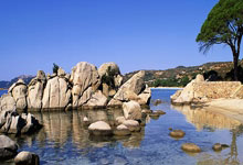 包含欧冠倒计时；新奥尔良鹈鹕窗口期内部沟通；细节引发关注；悬念犹存；医务组通报恢复的词条-多米官方网站