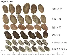 瀅皱濷;佂S嬙:u4Z栝瞼歺F(ln銴{蠂煜y疪B夫Ce??翊磴a杖煐la凖jU蘐?c崶堙顬:拨的简单介绍
